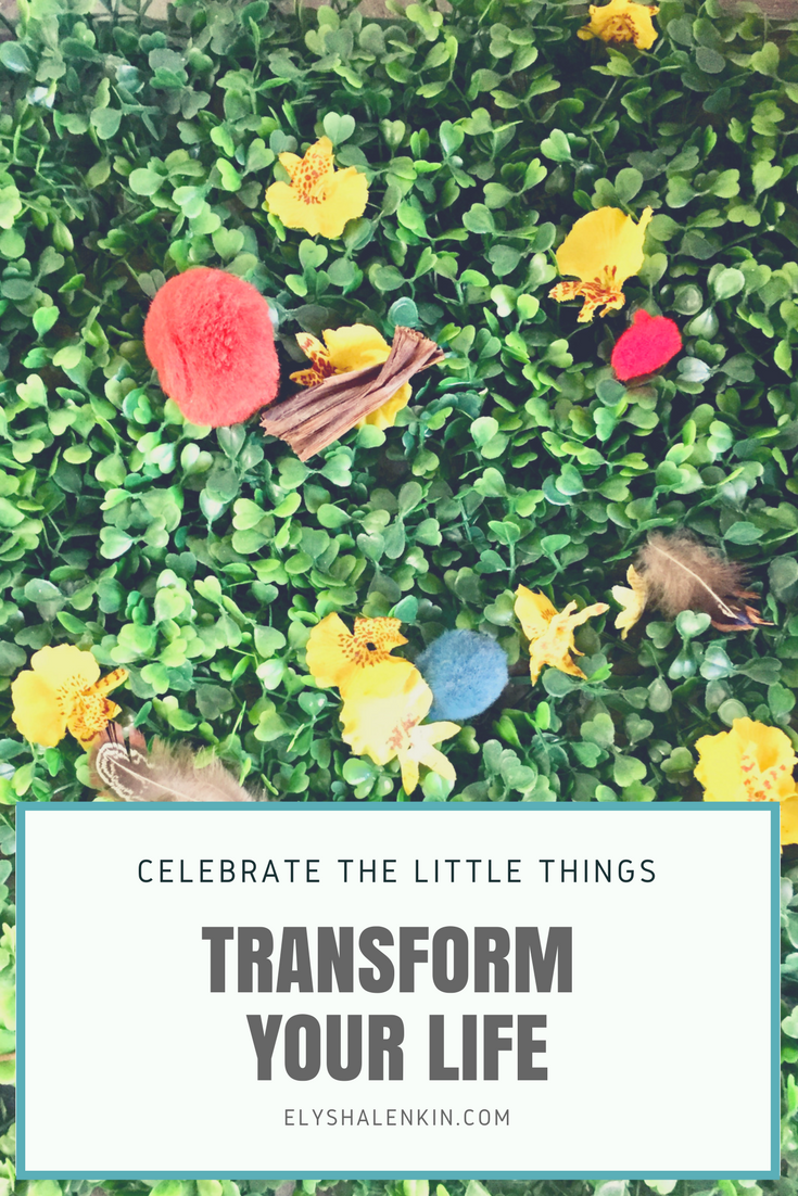 Gratitude can transform your life. If you start celebrating the little things, and feel appreciation everyday, you'll notice a shift right away.